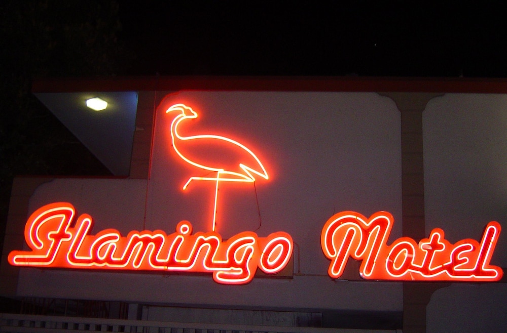 The Flamingo Motel - photo 18