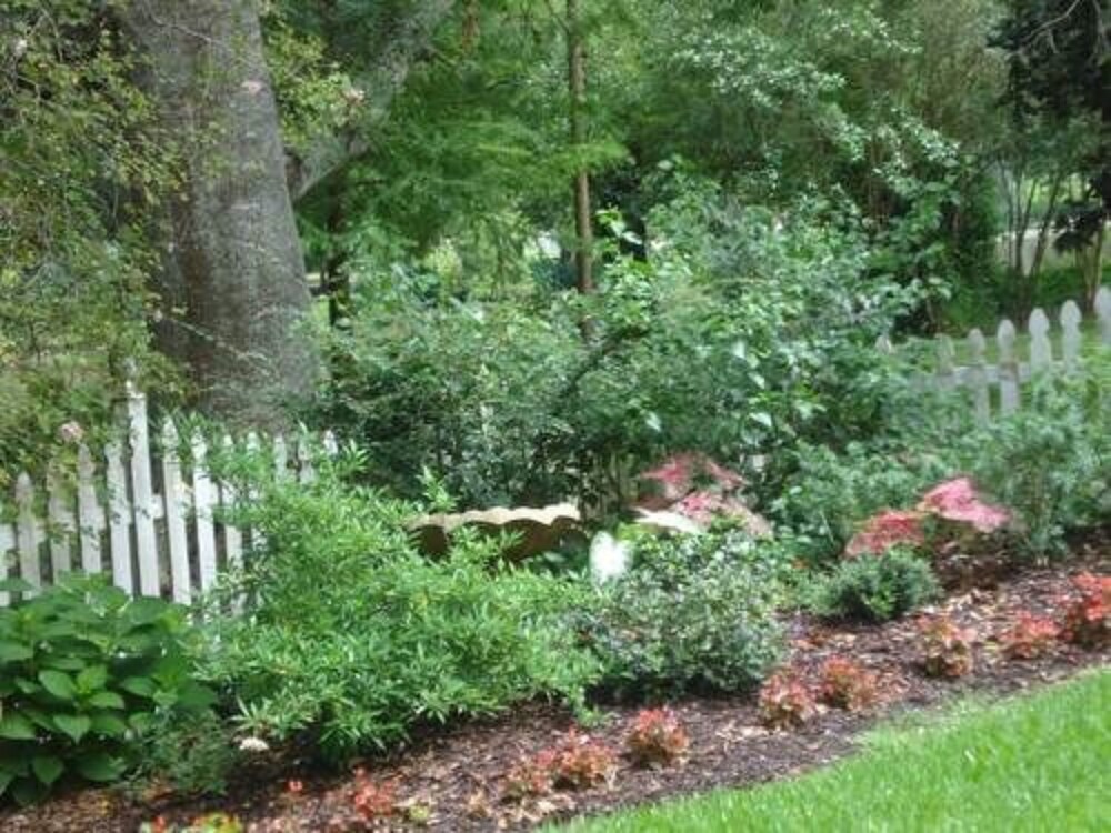 Old Castillo Bed and Breakfast - photo 13