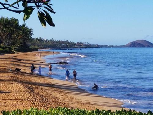 Hale Kamaole 177 - photo 32
