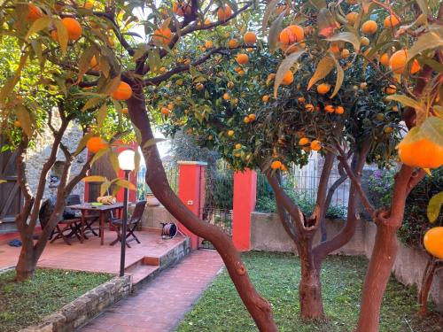 Ca’ Mati in Imperia, Italy