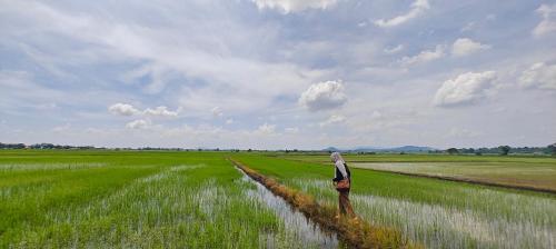 RumaKita Alor Setar Paddy View Netflix M0slim Only in Alor Setar, Malaysia