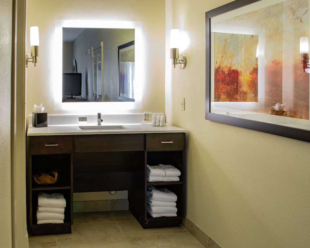 Homewood Suites by Hilton Houston Woodlands - photo 15