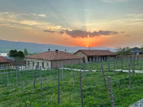 Peradze Wine Cellar Vineyard Cottages in Gori, Georgia