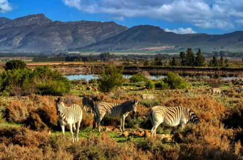 Welbedacht Game & Nature Reserve — hotel in Tulbagh