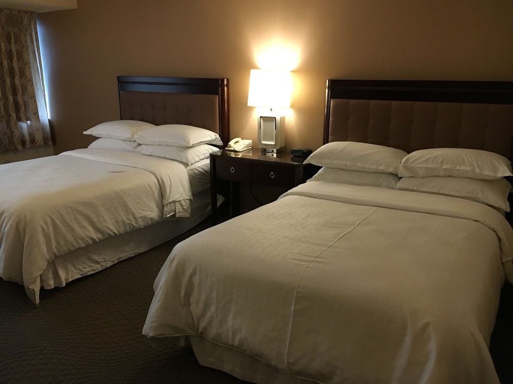 Sheraton Ontario Airport Hotel - photo 5