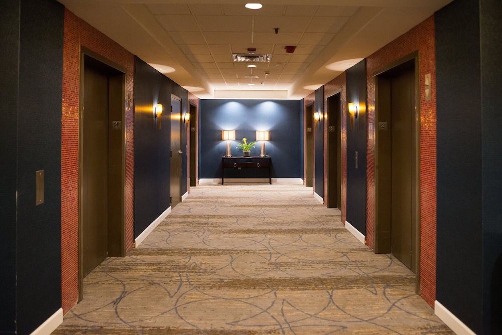 Crowne Plaza Suites MSP Airport Mall of America by IHG - photo 45