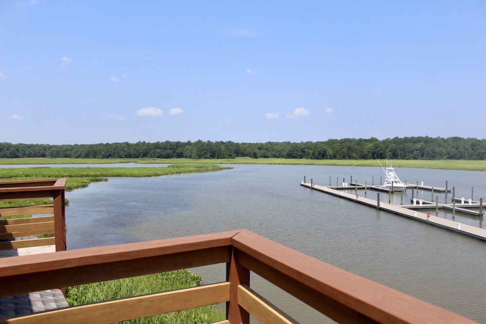 Surry Seafood Company - photo 30