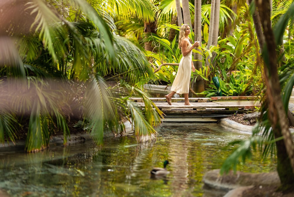 Bahia Resort Hotel - photo 101