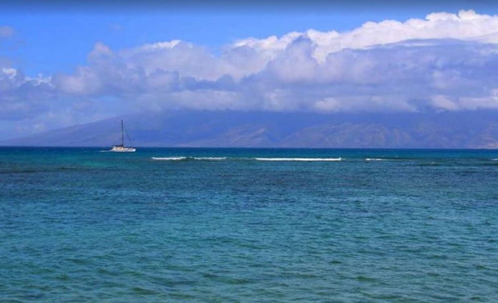 Love & Discover the Place of Your Dreams in 305 Lahaina - photo 29
