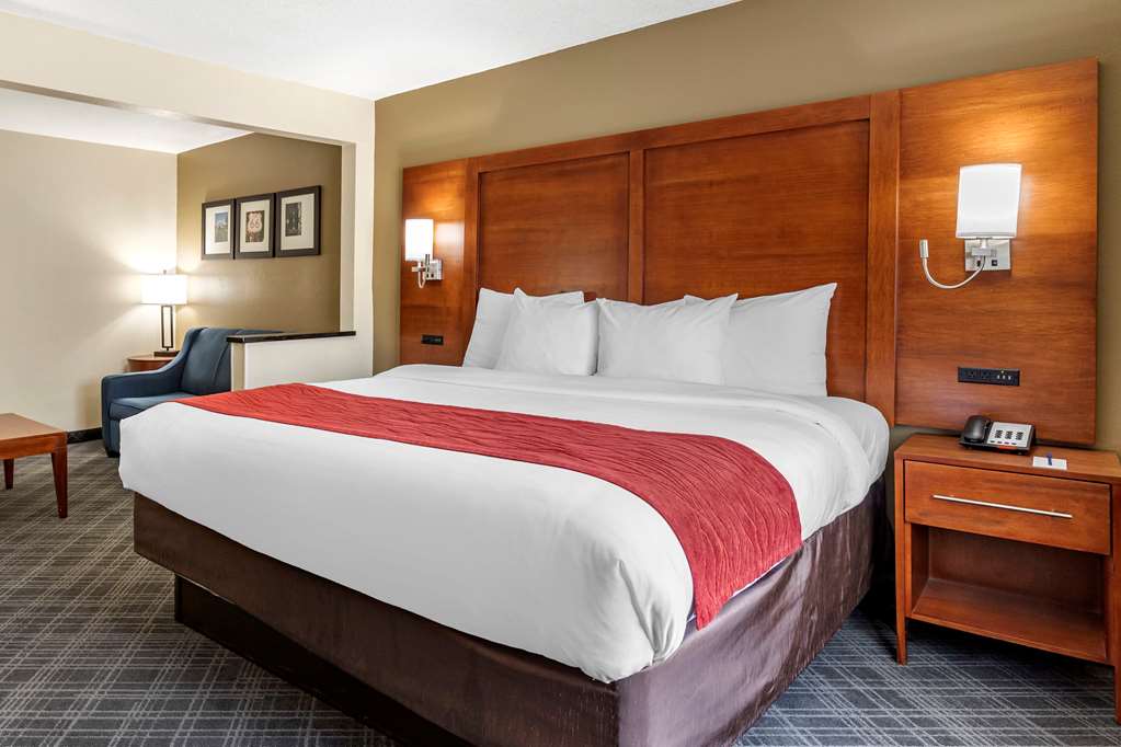 Comfort Inn Oklahoma City South I 240 - photo 11