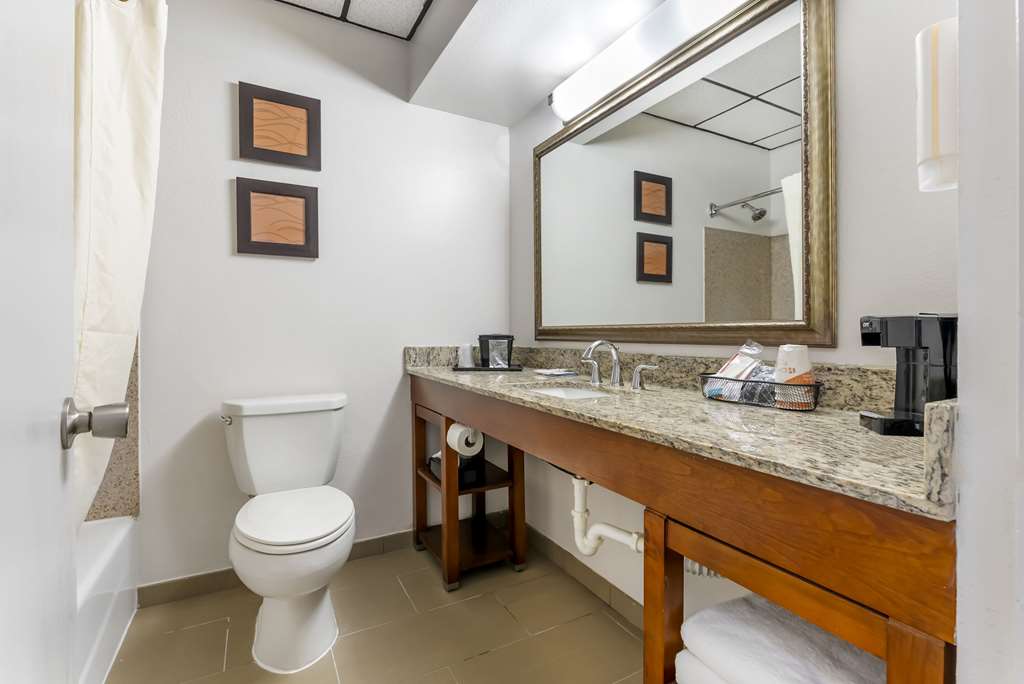 Comfort Inn Brownsville I 40 - photo 16