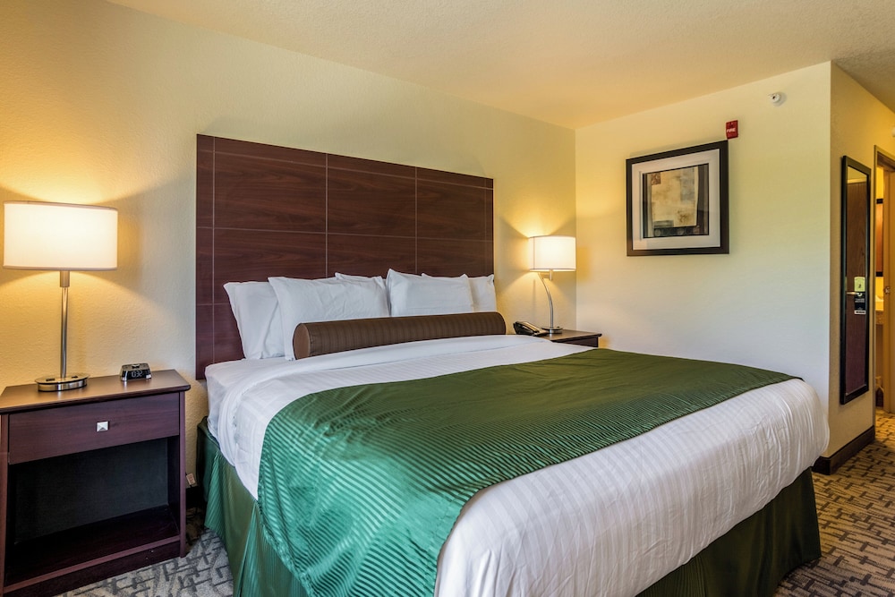 Cobblestone Hotel & Suites Erie - photo 18