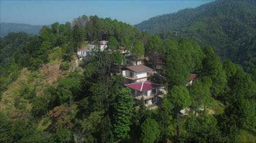 Prakrti The Nature in Lansdowne, India