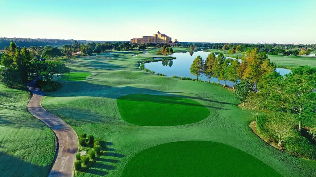 Rosen Shingle Creek - photo 91