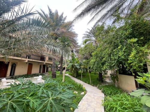 Date Palm Inn — Nizwa — photo 4