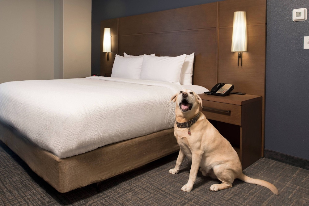 Residence Inn by Marriott Memphis Downtown - photo 10
