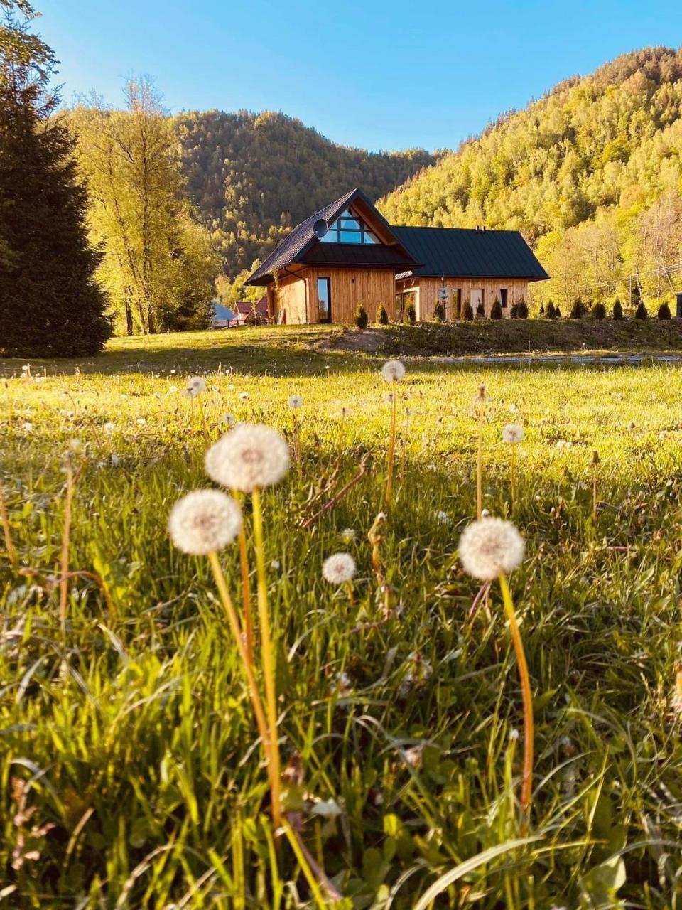 Mała Gorczanska Chatka — hotel in Ochotnica Dolna