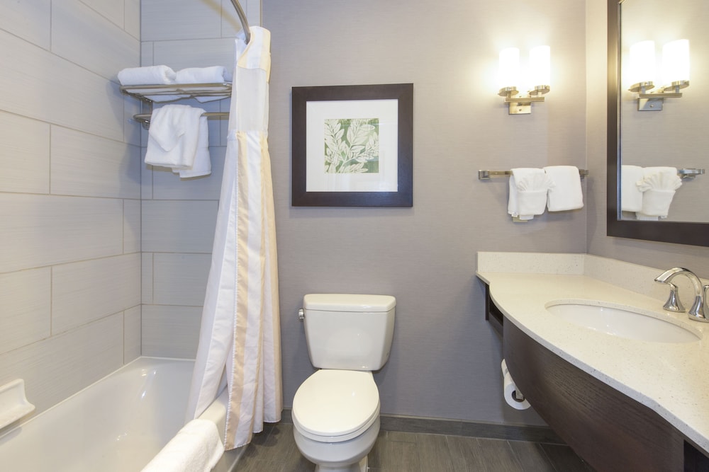 Hilton Garden Inn Raleigh Cary - photo 38
