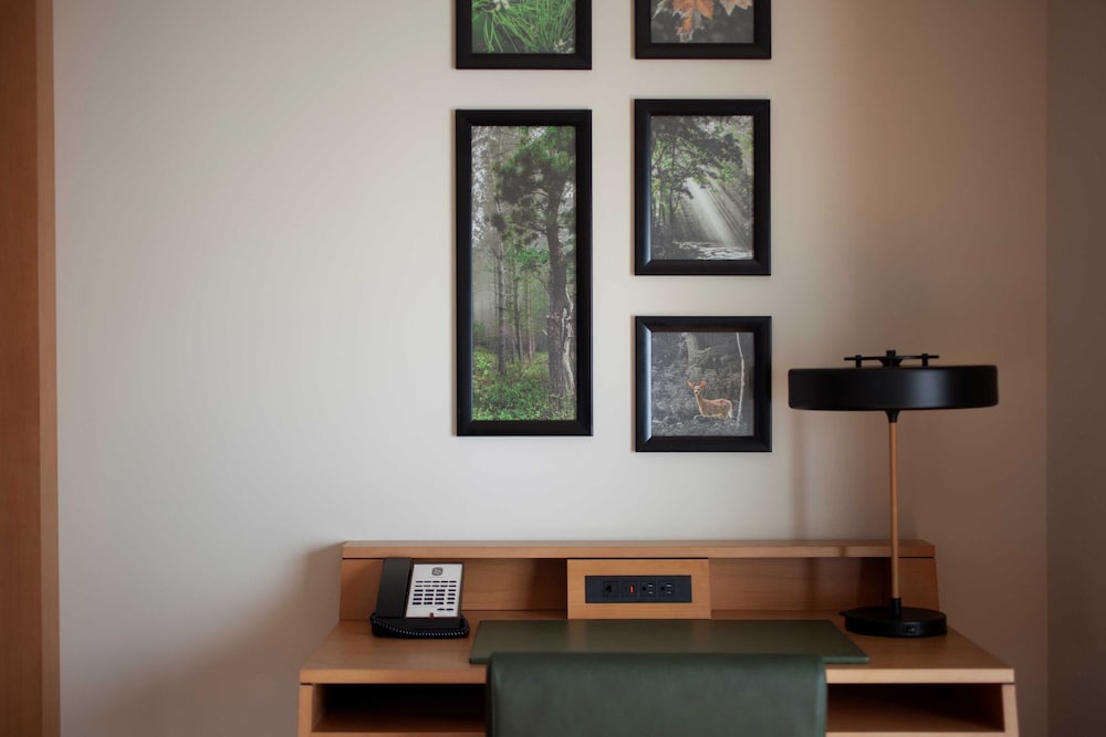 The Swiftwater - photo 45