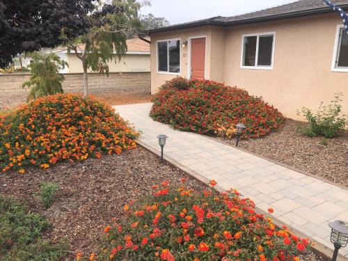 Butterfly Preserve & Sand Dunes STR49 in Grover Beach, United States