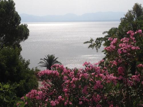 Villa Hibiscus Scopello — 4-Star Luxury Hotel in Scopello, Italy