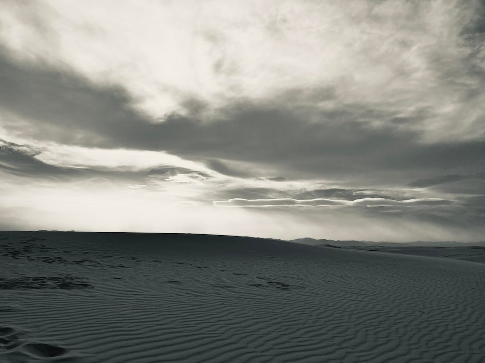 The Classic Desert Aire Hotel - photo 31