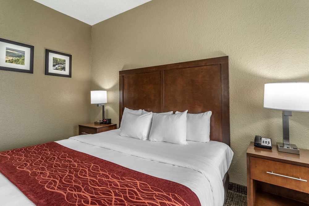 Comfort Inn Kingsport Southeast - photo 11