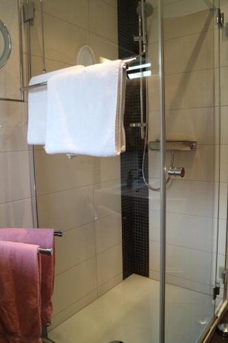 Haus Schneider — 4-Star Luxury Hotel in Gutach, Germany