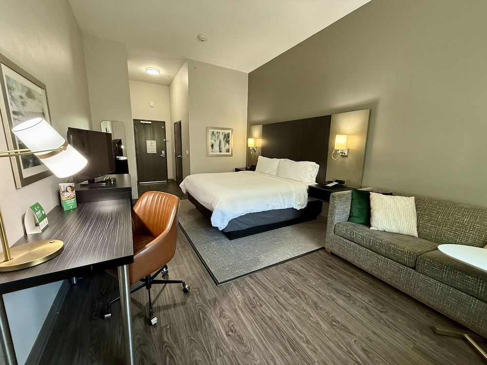 Holiday Inn Carlsbad by IHG - photo 8