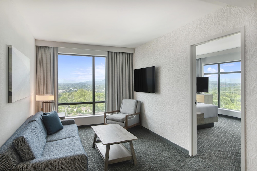 Embassy Suites By Hilton Asheville Downtown - photo 30