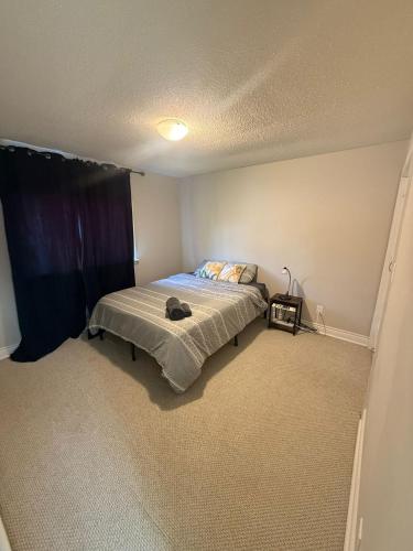 马卡姆的寄宿家庭 Simple Trip To Toronto in Markham, Canada