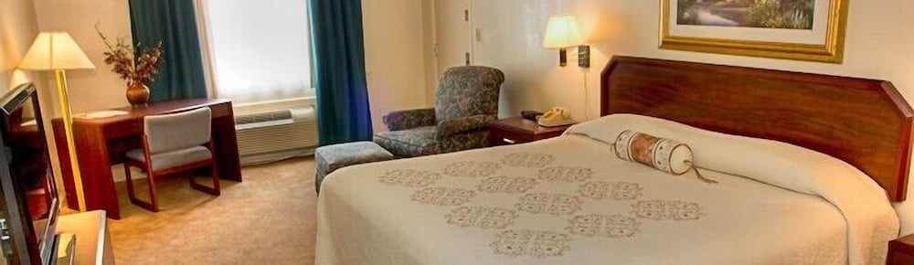 Big Sky Motel - photo 5