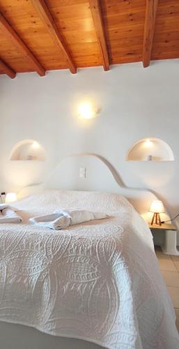 Noa Tinos — Tinos — photo 3