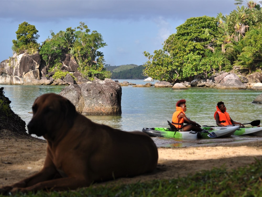 Natiora Green Lodge — 4-Star Luxury Hotel in Ambodifotatra, Madagascar