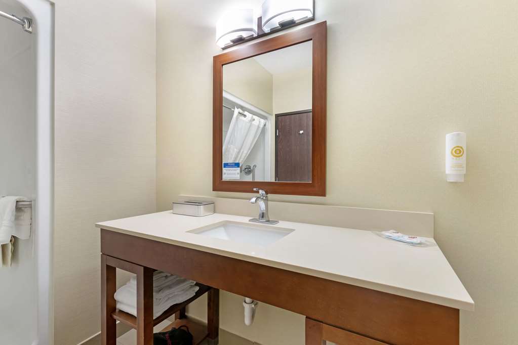 Comfort Suites Cedar Falls Industrial Park - photo 6