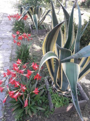 Ni Ke in Tsqaltubo, Georgia