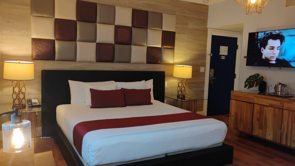 Dorset Hotel - photo 19