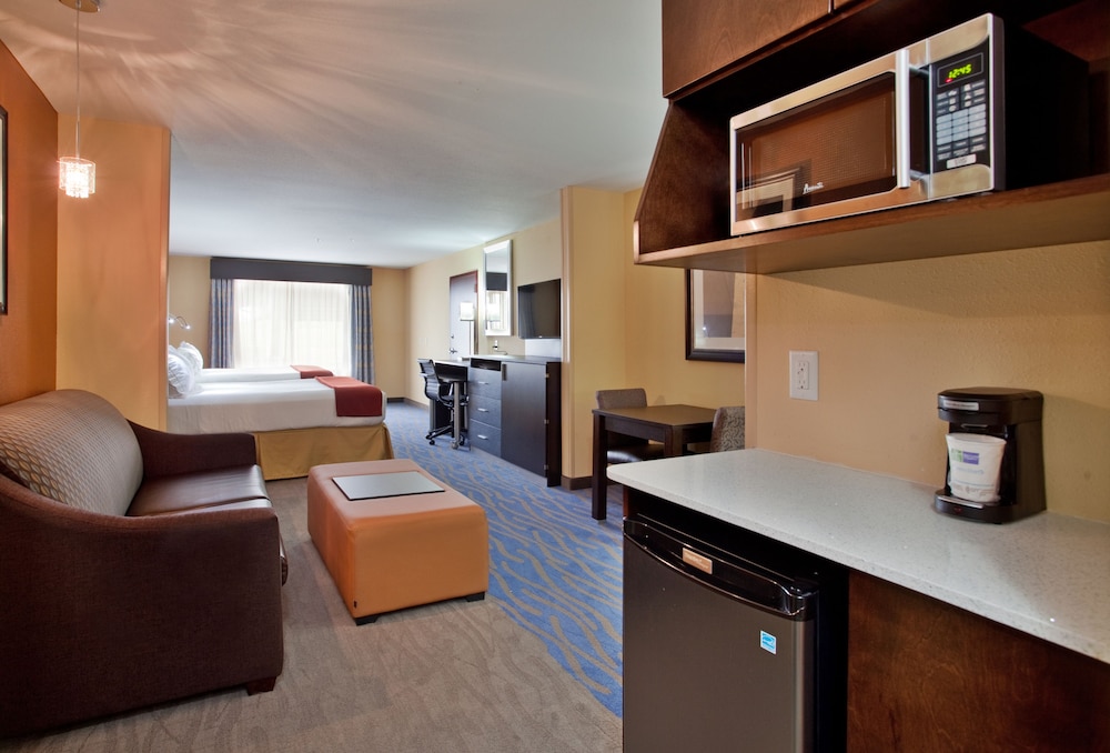 Holiday Inn Express & Suites St Louis Airport by IHG - photo 3