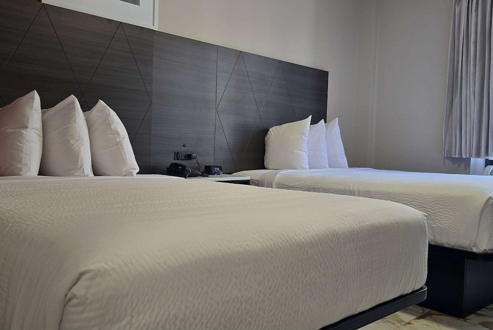 Ramada by Wyndham Brooklyn Empire Blvd - photo 7