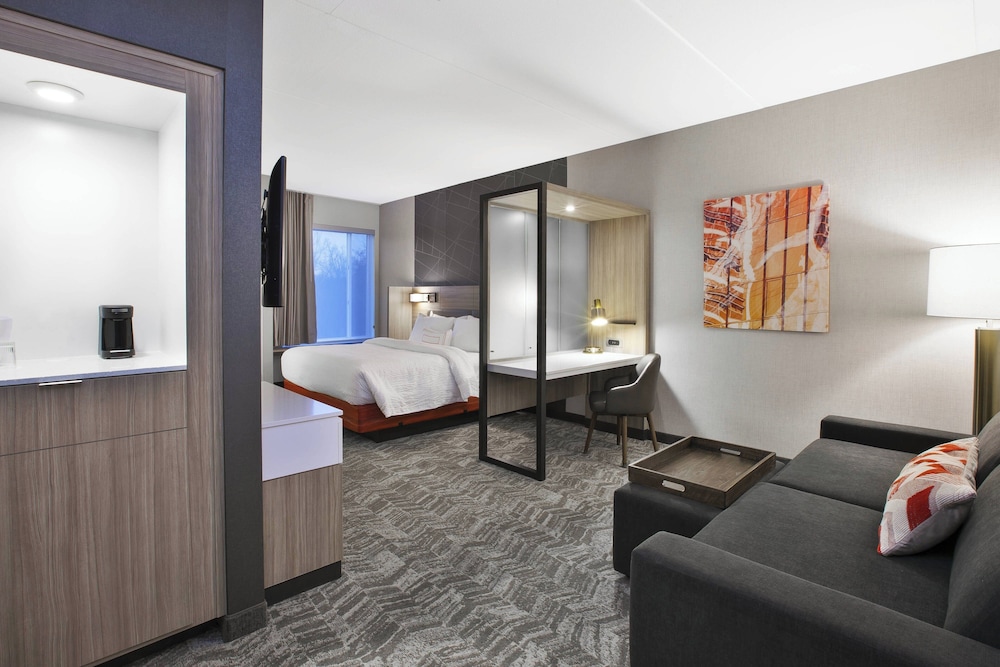 SpringHill Suites by Marriott Chattanooga North Ooltewah - photo 6