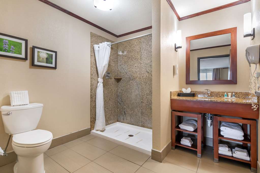 Comfort Suites Manhattan - photo 6