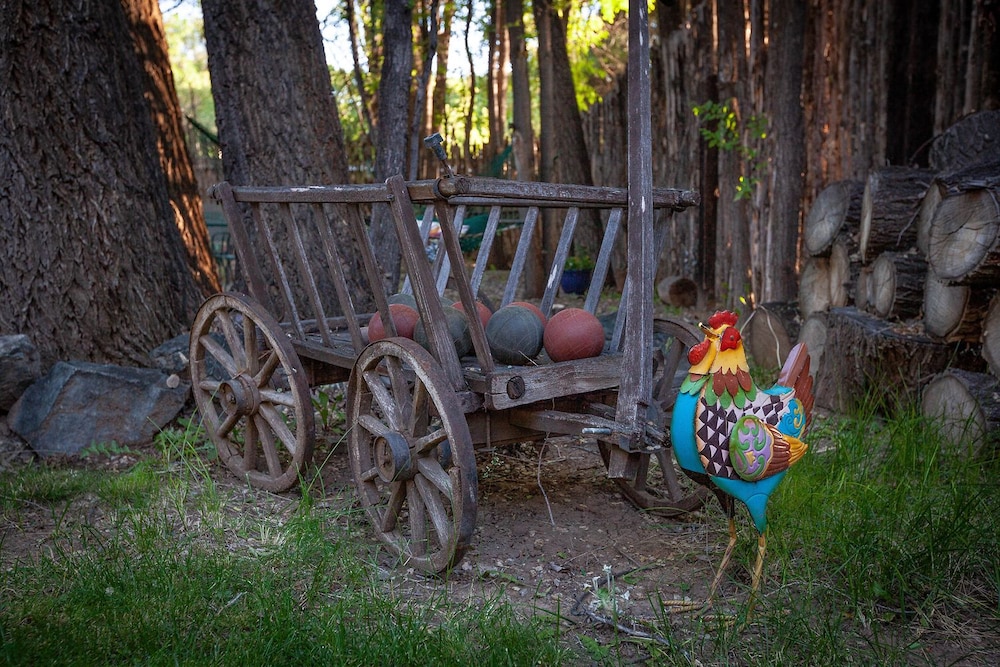 Dreamcatcher Bed and Breakfast - photo 115