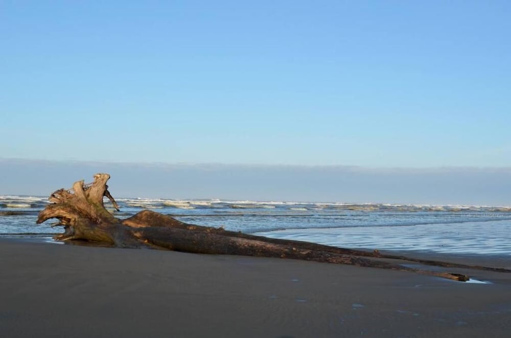 The Lowtide Motel - photo 58