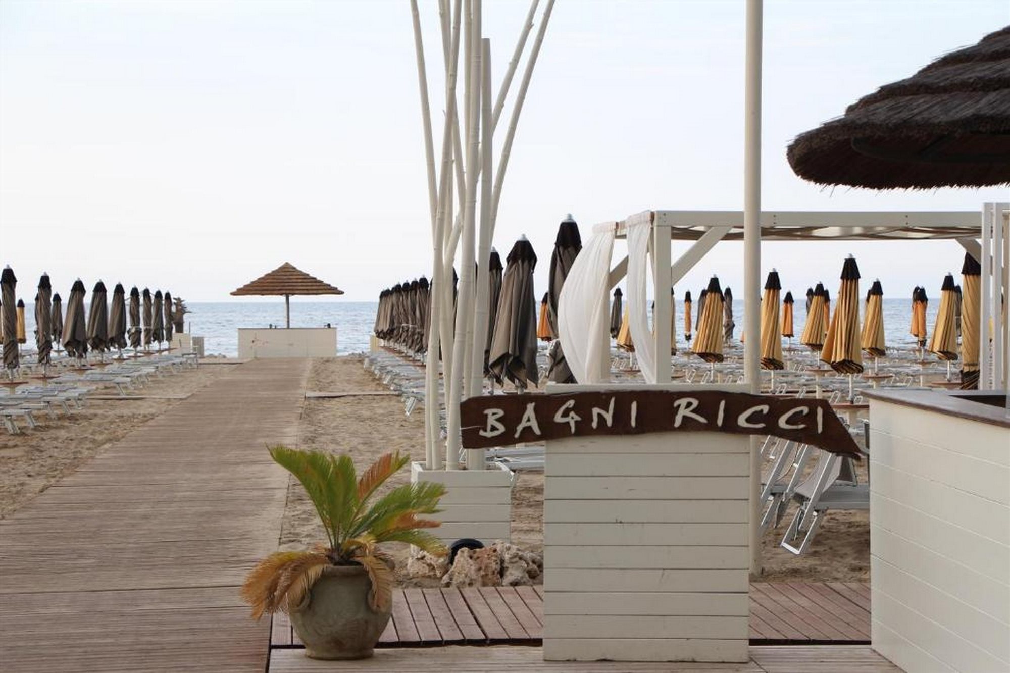 Hotel Concordia - last minute hotel in Rimini