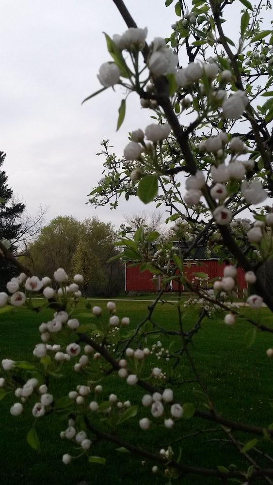Apple Tree Lane Bed & Breakfast - photo 41