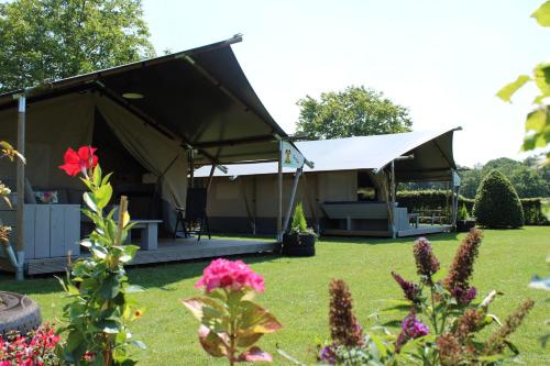 Safaritent Geitje met privé sanitair in Nistelrode, Netherlands