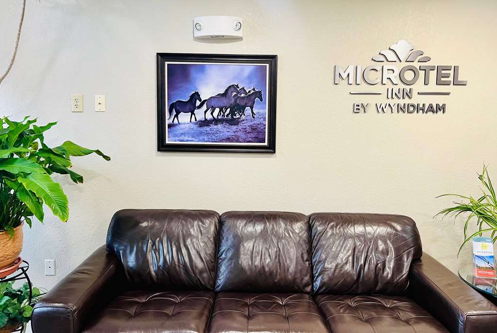 Microtel Inn by Wyndham Georgetown - photo 6
