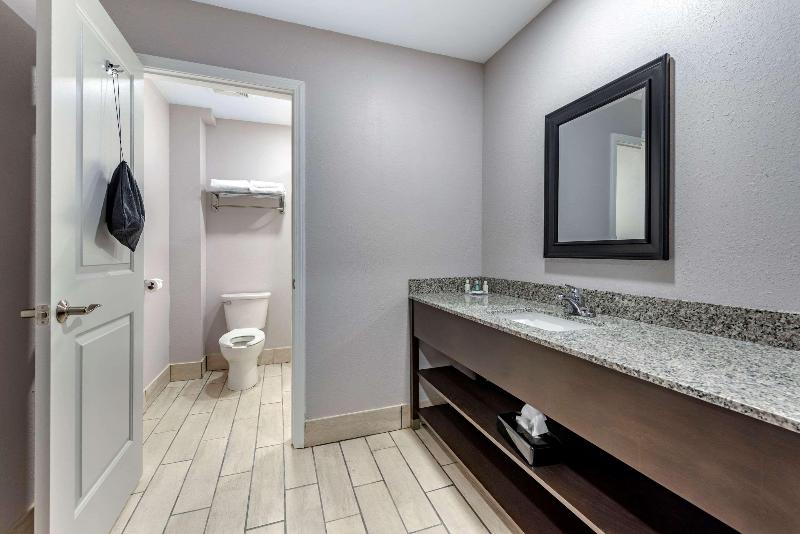 Quality Inn & Suites Evansville Downtown - photo 21