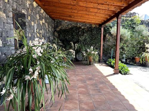 Mi Rincon in Los Llanos De Aridane, Spain