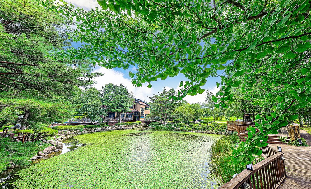 May Garden in Gangneung, South Korea